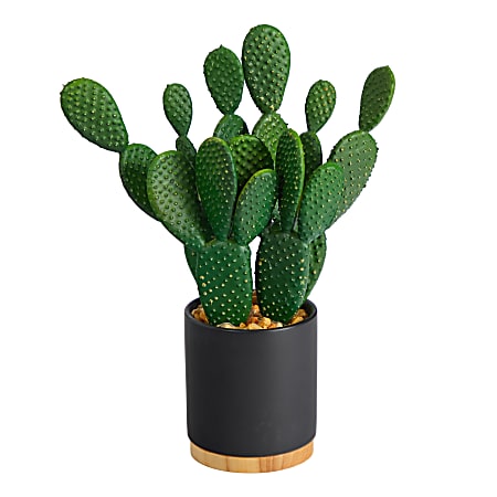 Nearly Natural Cactus Succulent 10”H Artificial Plant With Planter, 10”H x 6”W x 3”D, Green