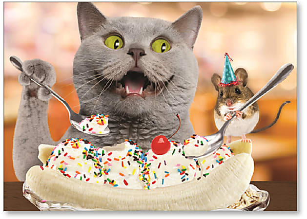 Viabella Fun Birthday Greeting Card With Envelope, Sundae Cat, 5" x 7"