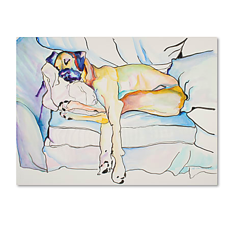 Trademark Global Sleeping Beauty Gallery-Wrapped Canvas Print By Pat Saunders-White, 26"H x 32"W
