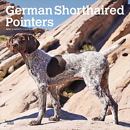 2025 BrownTrout German Shorthaired Pointers Monthly Plastic-Free Square Wall Calendar, 12" x 12", Dog Breeds, January to December 2025, 9781975477028
