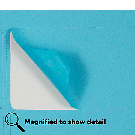 JAM Paper Mailing Address Labels Rectangle 2 x 4 Blue Pack Of 120