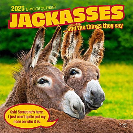 2025 BrownTrout Jackasses Monthly Plastic-Free Square Wall Calendar, 12" x 12", Fun and Humor, January to December 2025, 9781975477240