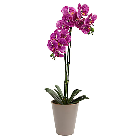 Nearly Natural Speckled Phalaenopsis Orchid 24”H Artificial Floral Arrangement With Vase, 24”H x 10-1/2”W x 6”D, Purple