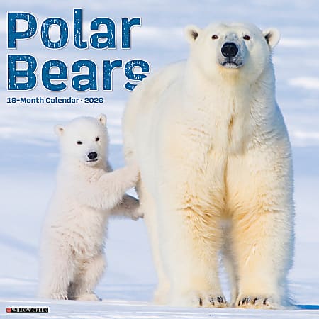 2026 Willow Creek Press Animals Monthly Wall Calendar, 12" x 12", Polar Bears, January To December, 56059