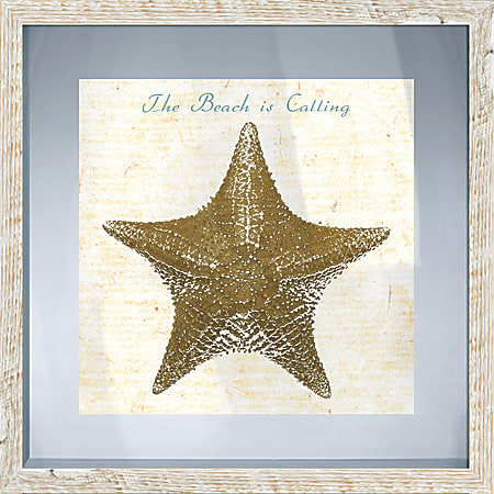 PTM Images Framed Art, Starfish I, 17 1/2"H x 17 1/2"W
