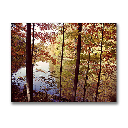 Trademark Global A Secret Pond Gallery-Wrapped Canvas Print By Kurt Shaffer, 18"H x 24"W