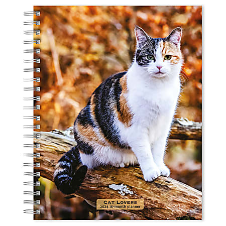 2023-2024 BrownTrout 16-Month Weekly/Monthly Engagement Planner, 7-3/4" x 7-3/16", Cat Lovers, September To December