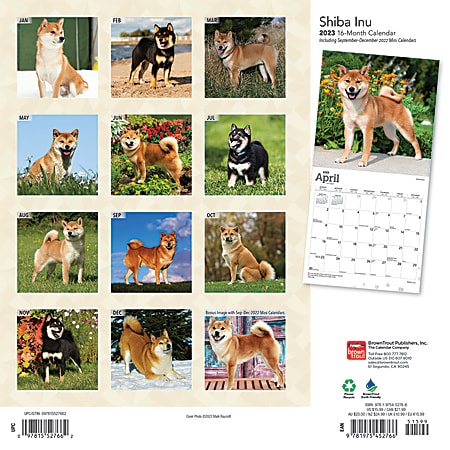 Brown Trout Animals Monthly Wall Calendar 12 x 12 Shiba Inus January To