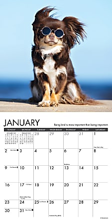 Willow Creek What Dogs Teach Us 2020 Mini Calendar 7"X7" w