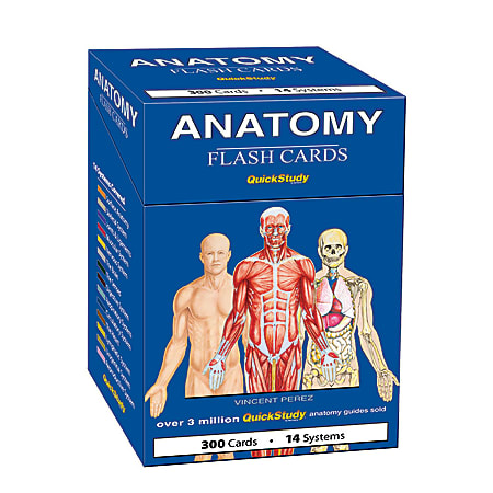 QuickStudy Flash Cards, 4" x 3-1/2", Human Anatomy, Pack Of 300 Cards