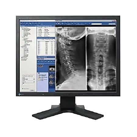 Eizo FlexScan MX210 21" LCD Monitor - 16 ms