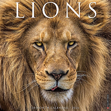 2026 Willow Creek Press Animals Monthly Wall Calendar, 12" x 12", Lions, January To December, 55915