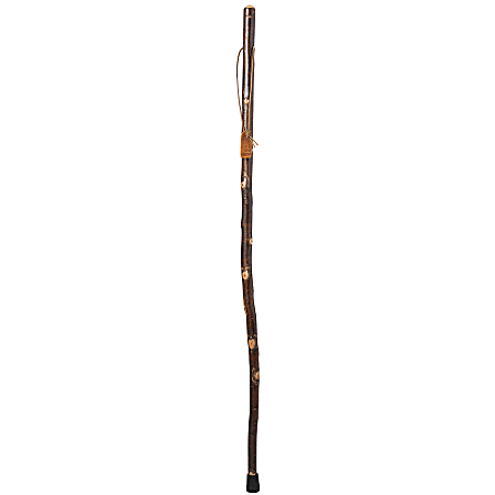 Brazos Walking Sticks™ Free Form Aspen Walking Stick, 55", Dark Brown