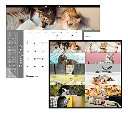 Blueline® Furry Collection Monthly Desk Pad Calendar, 22" x 17", 50% Recycled, FSC® Certified, January to December 2021 