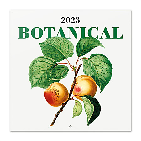 TF Publishing Bilingual Monthly Wall Calendar, 11-13/16" x 11-13/16", Botanical, January To December 2023