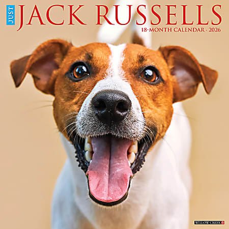 2026 Willow Creek Press Animals Monthly Wall Calendar, 12" x 12", Jack Russells, January To December, 51627