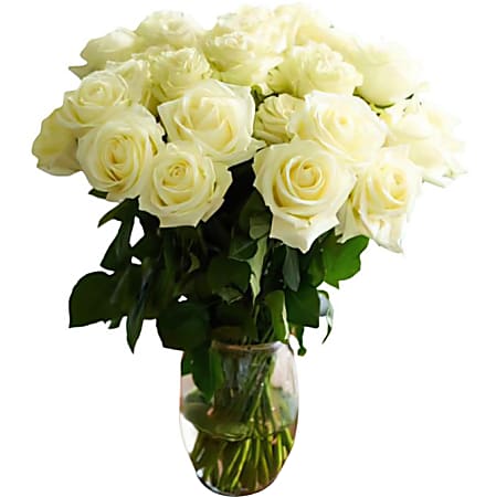 Rose Farmers White Pure Long Stem Roses White Box Of 48 Roses - Office ...
