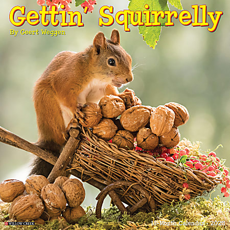 2026 Willow Creek Press Monthly Mini Wall Calendar 7 X 7 Gettin Squirrelly January To December - View #2