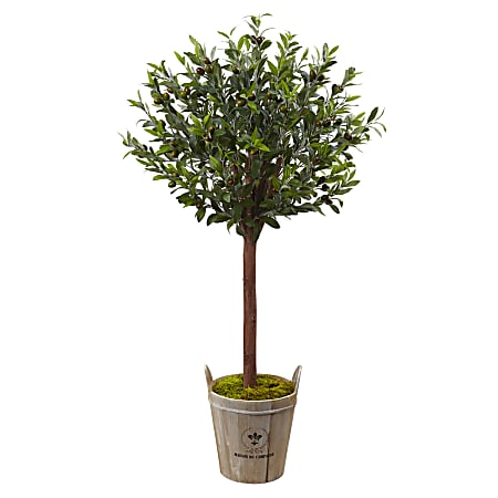Nearly Natural 54" Olive Topiary Tree With European Barrel Planter, Green/Brown