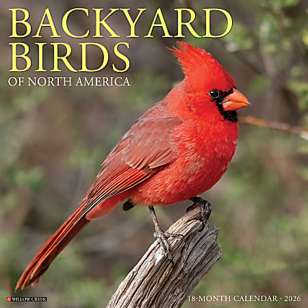 2026 Willow Creek Press Animals Monthly Wall Calendar, 12" x 12", Backyard Birds, January To December, 50026