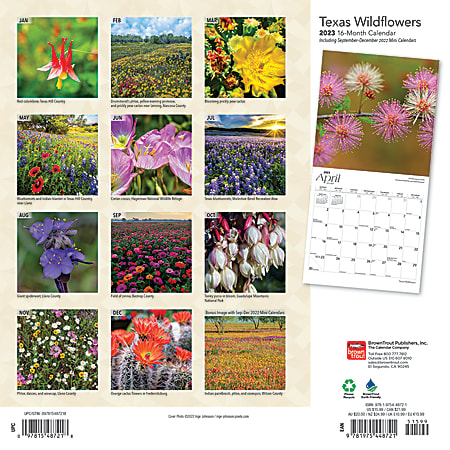 Brown Trout Travel Monthly Wall Calendar 12 x 12 Texas Wildflowers ...