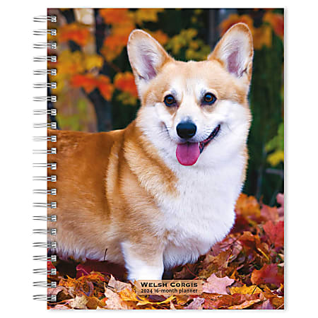 2023-2024 BrownTrout 16-Month Weekly/Monthly Engagement Planner, 7-3/4" x 7-3/16", Welsh Corgis, September To December