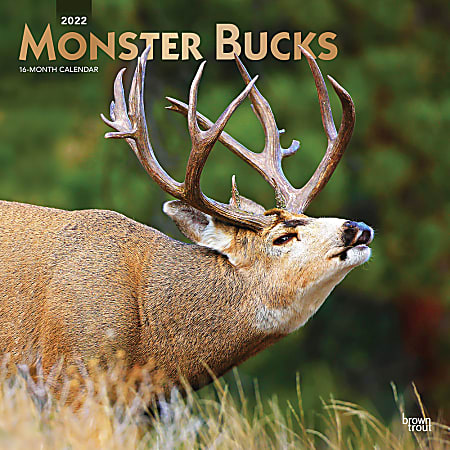 Brown Trout Animal Monthly Wall Calendar, 12” x 12”, Monbucks, January To December 2022