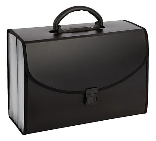 File folder carrying case 2025
