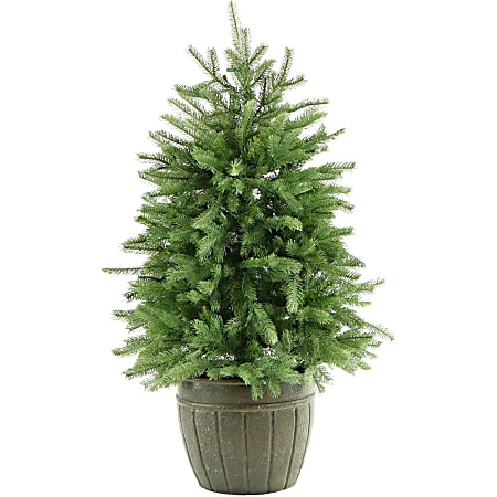 Fraser Potted Pine Tree With Clear Lights 4 Green - Office Depot