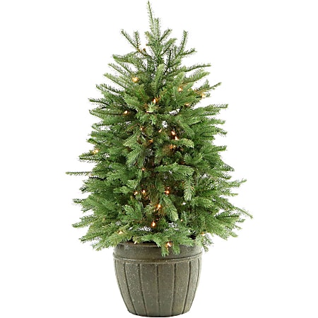 Fraser Potted Pine Tree With Clear Lights, 4', Green