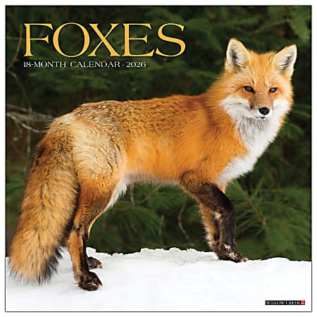 2026 Willow Creek Press Animals Monthly Wall Calendar, 12" x 12", Foxes, January To December, 51146