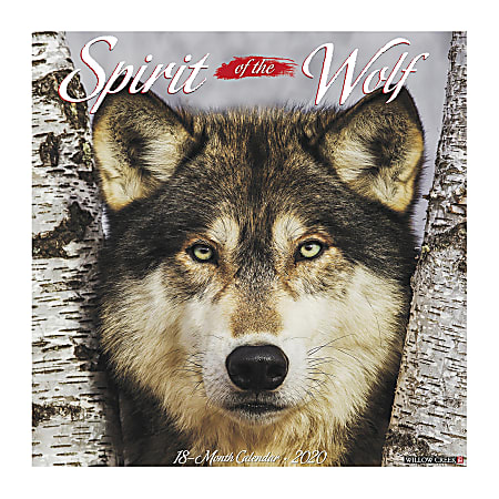 Willow Creek Press Animals Monthly Wall Calendar, 12" x 12", Spirit Of The Wolf, January To December 2020
