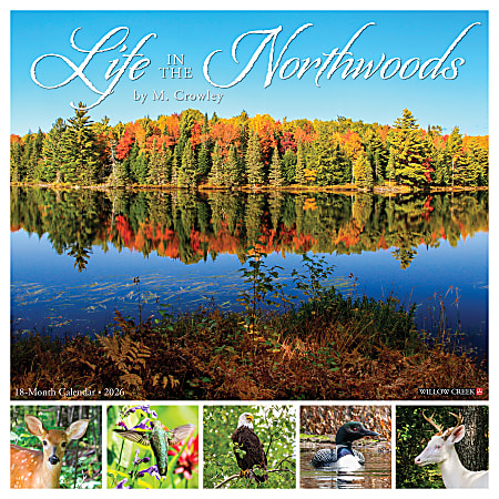 2026 Willow Creek Press Scenic Monthly Wall Calendar, 12" x 12", Life in the Northwoods, January To December, 55472