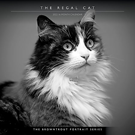 Brown Trout Animal Monthly Wall Calendar, 12” x 12”, Regal Cat, January To December 2022