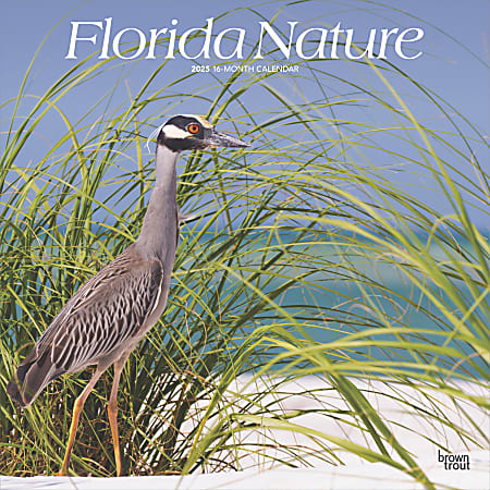 2025 BrownTrout Florida Nature Monthly Plastic-Free Square Wall Calendar, 12" x 12", American States, January to December 2025, 9781975474805
