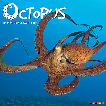 2026 Willow Creek Press Animals Monthly Wall Calendar, 12" x 12", Octopus, January To December, 56028