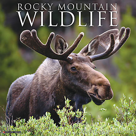 2026 Willow Creek Press Scenic Monthly Wall Calendar, 12" x 12", Rocky Mountain Wildlife, January To December, 52594