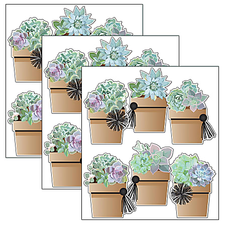 Carson Dellosa Education Cut-Outs, Schoolgirl Style Simply Stylish Potted Succulents, 36 Cut-Outs Per Pack, Set Of 3 Packs