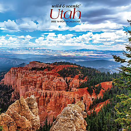 Brown Trout Monthly Regional Wall Calendar, 24" x 12", Wild & Scenic Utah, January to December 2022, 9781975439651