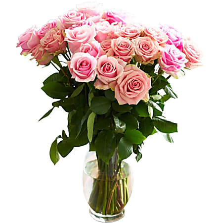 Rose Farmers Bi-Color Eyecatcher Long Stem Roses, Pink, Box Of 24 Roses