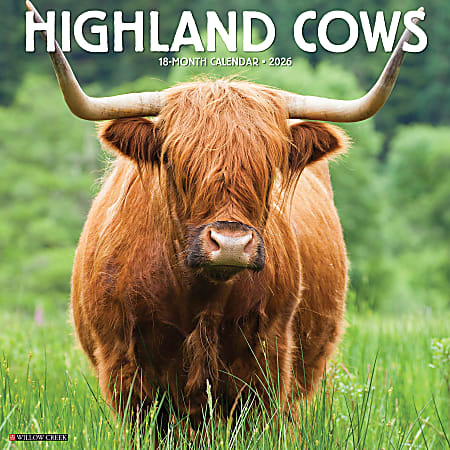 2026 Willow Creek Press Animals Monthly Wall Calendar, 12" x 12", Highland Cows, January To December, 51474
