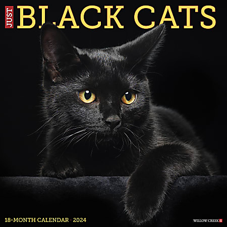 2024 Willow Creek Press Animals Monthly Wall Calendar, 12" x 12", Just Black Cats, January To December