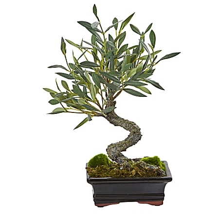 Nearly Natural Mini Olive Bonsai 13”H Artificial Tree. 13”H x 8-1/2”W x 6”D, Green