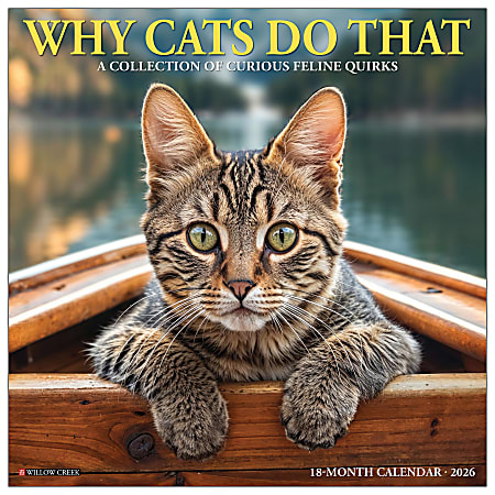 2026 Willow Creek Press Animals Monthly Wall Calendar, 12" x 12", Why Cats Do That, January To December, 53256
