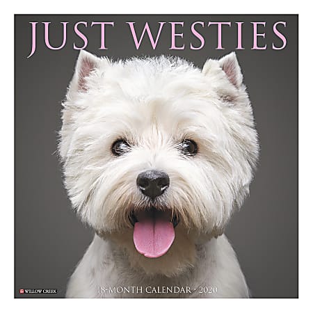 Willow Creek Press Animals Monthly Wall Calendar, 12" x 12", Westies, January To December 2020