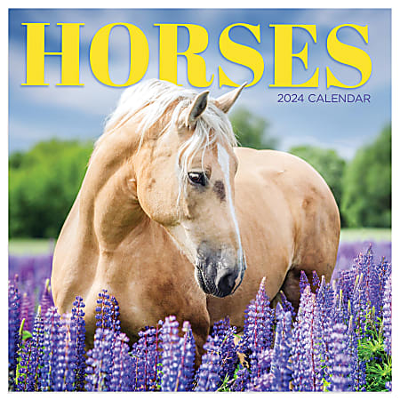 2024 TF Publishing Animals Monthly Mini Wall Calendar, 7” x 7”, Horses, January To December