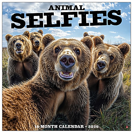 2026 Willow Creek Press Animals Monthly Wall Calendar, 12" x 12", Animal Selfies, January To December, 49884