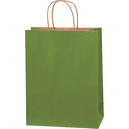 Partners Brand Tinted Shopping Bags, 13"H x 10"W x 5"D, Green Tea, Case Of 250