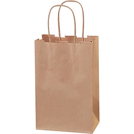 Partners Brand Paper Shopping Bags, 8 3/8"H x 5 1/4"W x 3 1/4"D, Kraft, Case Of 250