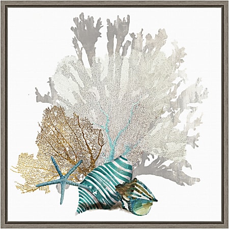 Amanti Art Coral by Aimee Wilson Framed Canvas Wall Art Print, 16”H x 16”W, Greywash